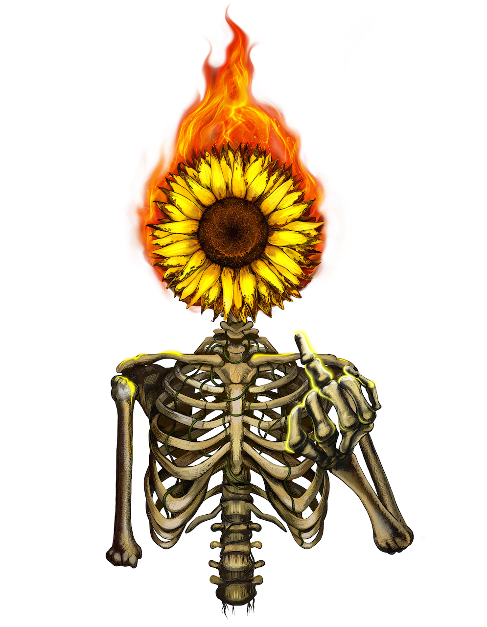 halfskeleton